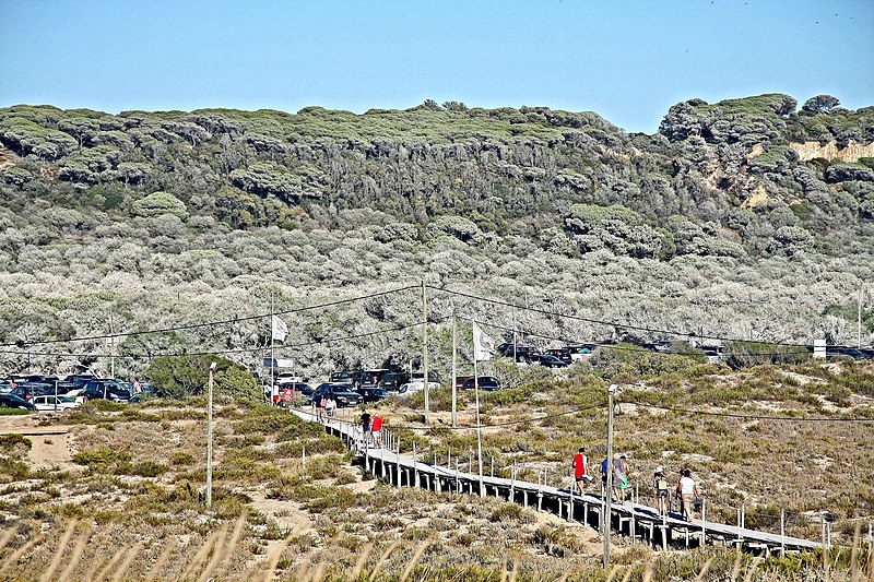 File:Acesso à Praia da Princesa - Costa da Caparica - Portugal (48486532511).jpg