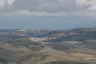 <span class="mw-page-title-main">Almargen</span> Municipality in Andalusia, Spain