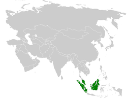 Alophoixus finschii distribution map.png