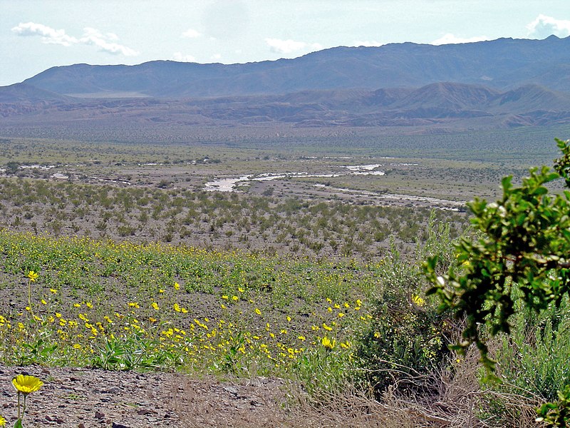 File:Amargosa.jpg