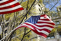 American Flag with trees and buildings.jpg