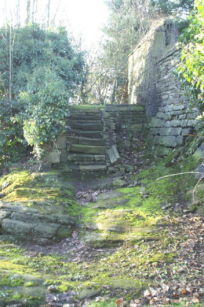 File:Ancient steps - geograph.org.uk - 104264.jpg