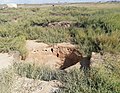 Ancient well on Bozoq II.jpg