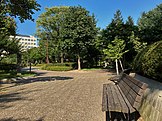 Trees and a park bench in Aoimori Park