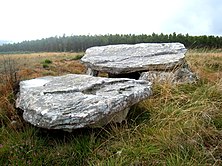 Dolmen Arca da Piosa