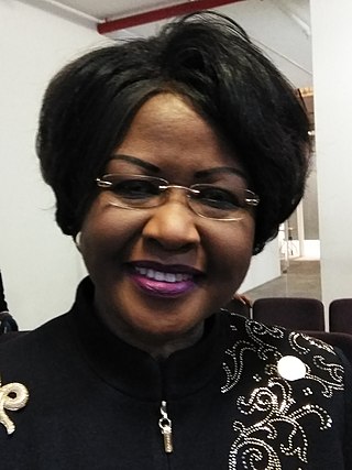 <span class="mw-page-title-main">Arikana Chihombori-Quao</span> African activist, diplomat and doctor