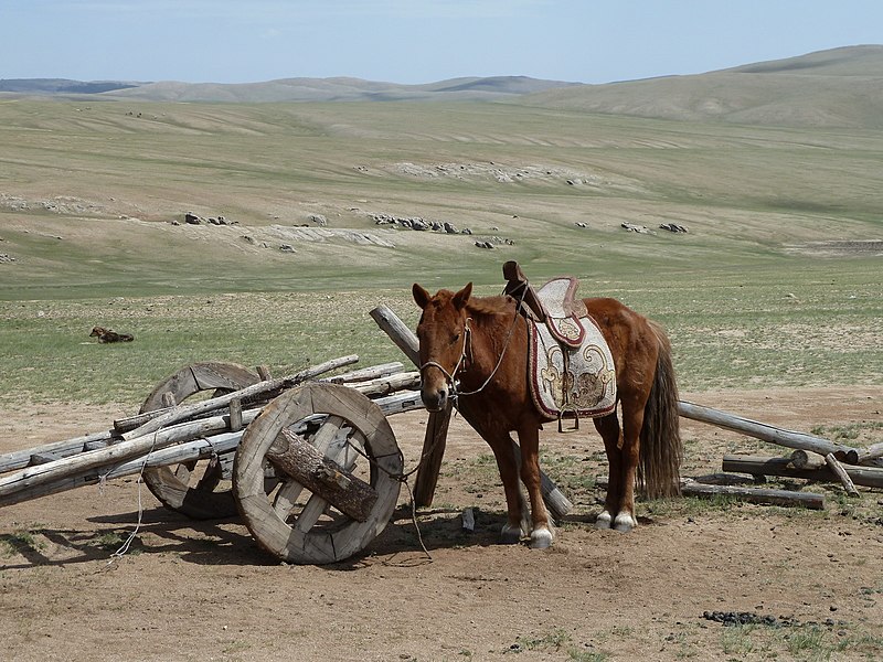 File:Arkhust, Mongolia - panoramio (12).jpg