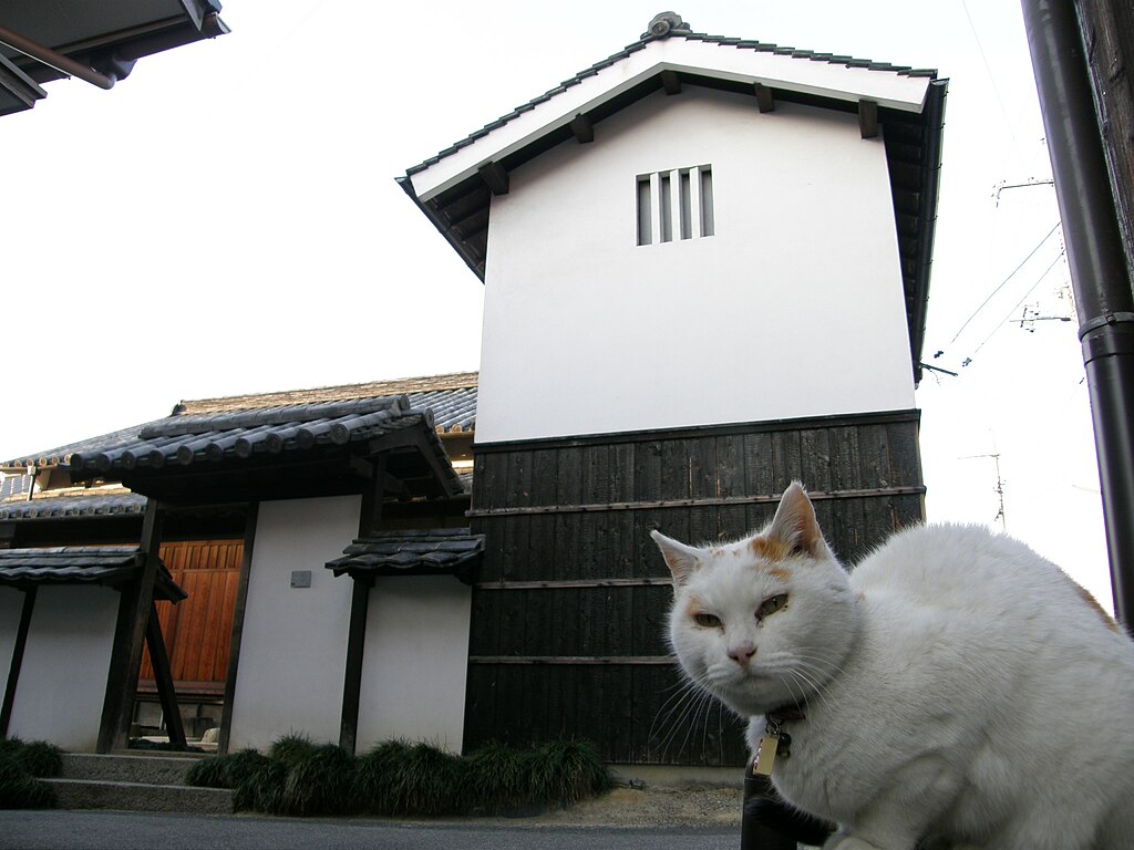 Art house project in Naoshima, Kadoya(角屋、直島 家プロジェクト) PC182309