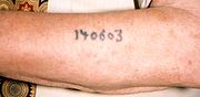 180px Auschwitz survivor displays tattoo detail
