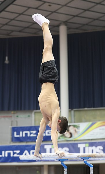 File:Austrian Future Cup 2018-11-23 Training Afternoon Parallel bars (Martin Rulsch) 0671.jpg