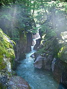Glacier Ulusal Parkı'nda "Avalanche Creek)"
