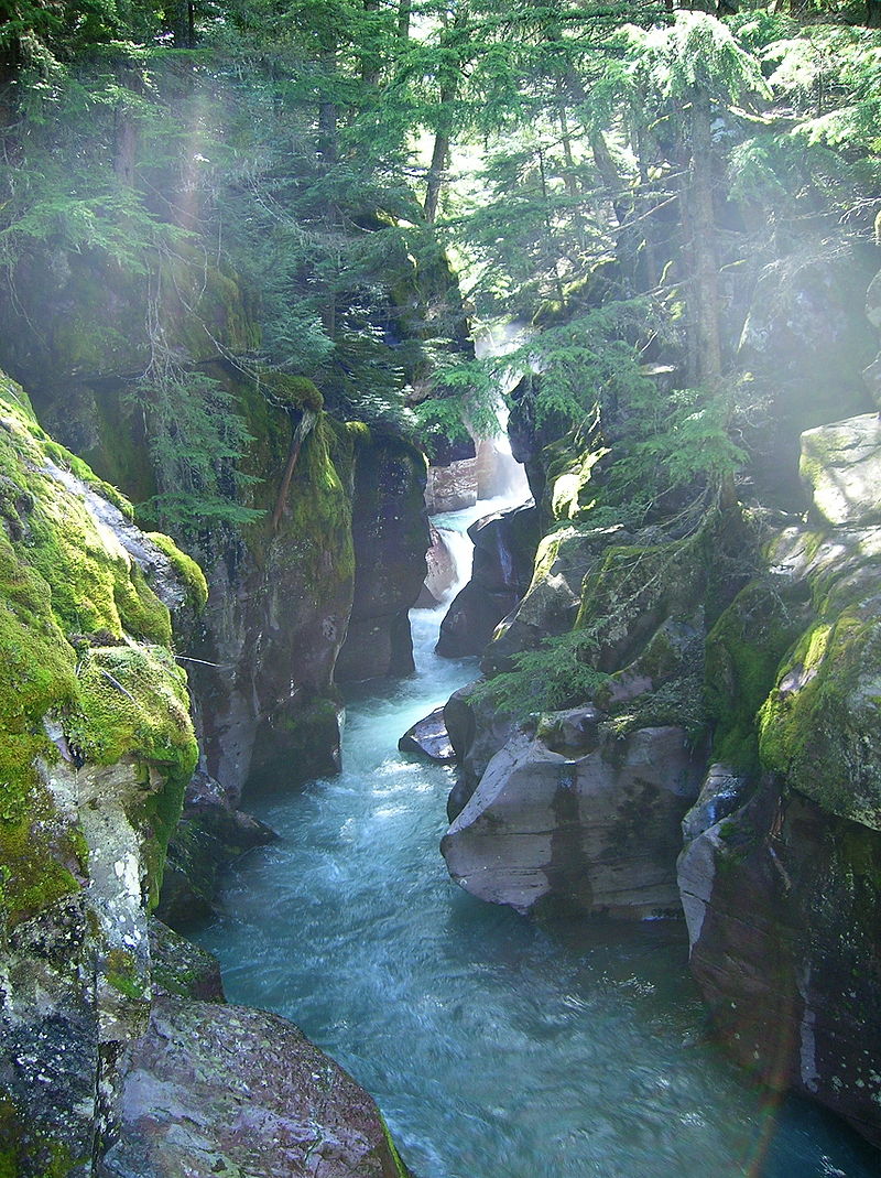 Etats-Unis  -  Parc national de Glacier 800px-Avalanche_Creek_Glacier_National_park_2007