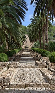 Avenida de palmeras Jardines de Alfàbia Mallorca
