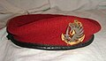 red beret (Amaranth) of marine paratroops (France).