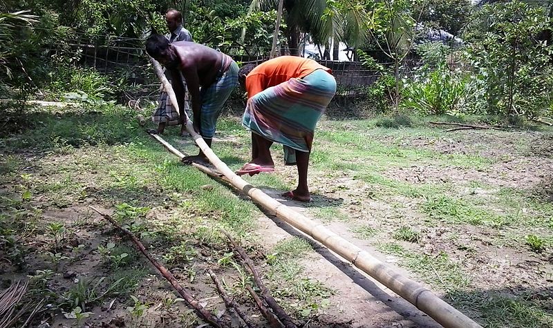 File:Bamboo break.jpg