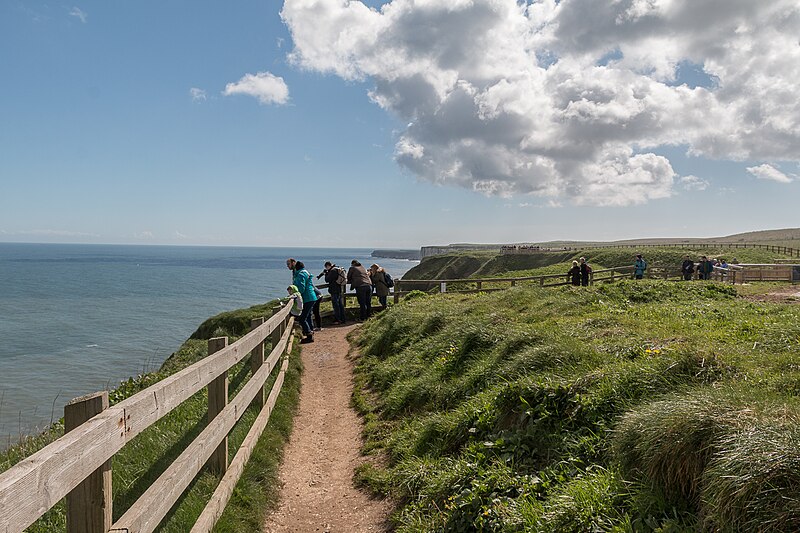 File:Bempton Cliffs, Yorkshire - geograph.org.uk - 4922713.jpg