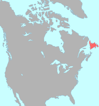 <span class="mw-page-title-main">Beothuk language</span> Extinct language of Canada