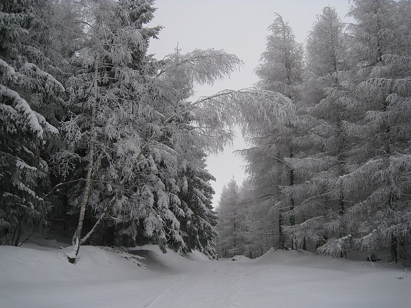 File:Bergweg zur Eisgasse - panoramio.jpg