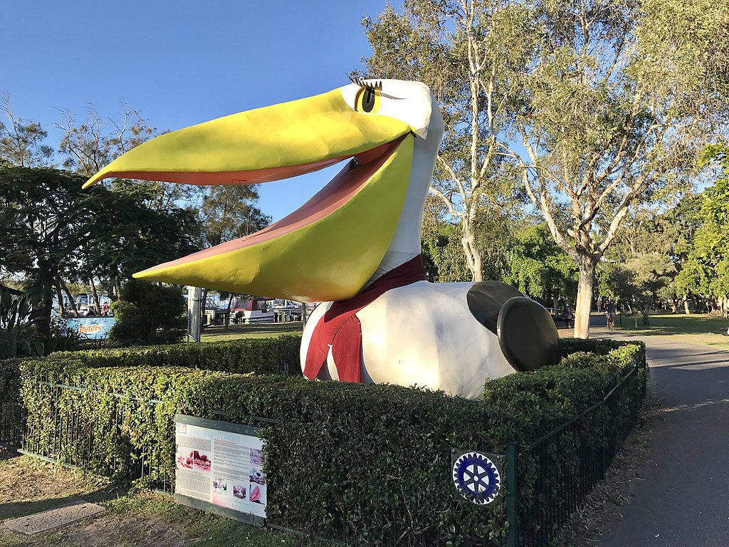 The Big Pelican