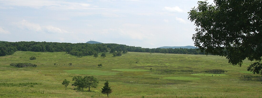 Big Meadows