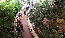 Interior of the BioDome BioDome.jpg