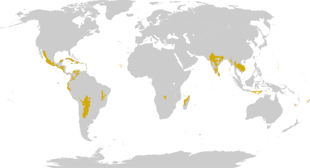 Extent of dry forest regions.