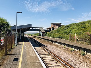 <span class="mw-page-title-main">Bishopstone railway station</span> Railway station in East Sussex, England