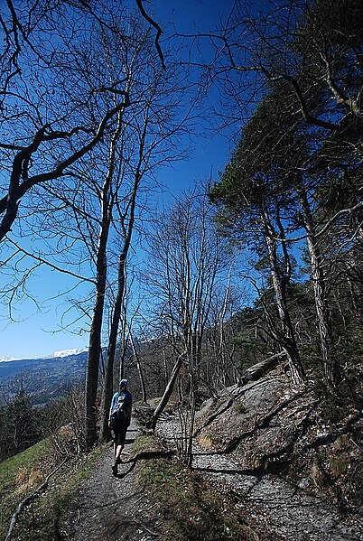 File:Bisse de Varen - dry.jpg