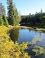 Čeština: Blatný rybník - mezi Novou Loukou a Kristiánovem, Jizerské hory, okres Jablonec nad Nisou - ČR English: Pond Blatný rybník in Jizera Mountains, Jablonec nad Nisou District - Czech Republic