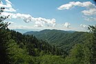 Blue Ridge (Great Smoky Mountains, Caroline du Nord, États-Unis) 5.jpg