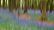 Thumbnail for Intentional camera movement