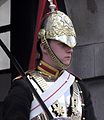 Trooper of the Blues and Royals