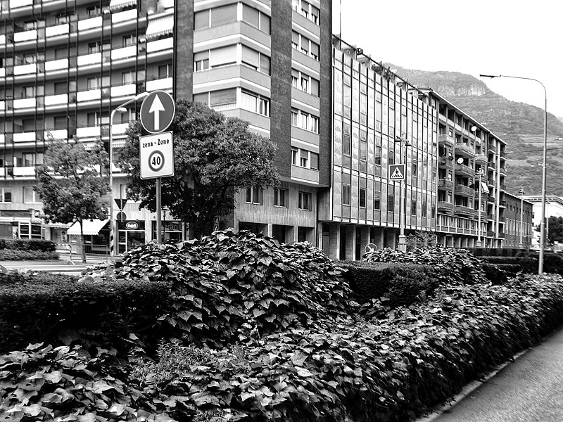 File:Bolzano City Image - Photo by Giovanni Ussi - In Black and White 49.jpg