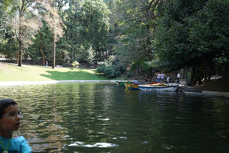 File:Bom Jesus Lake 2017 (1).jpg