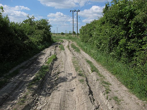 Bracks Drove - geograph.org.uk - 2574525