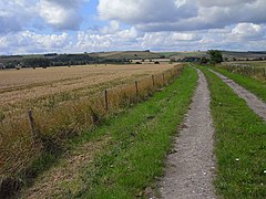 Bridleway ، North Newnton - geograph.org.uk - 1560467.jpg