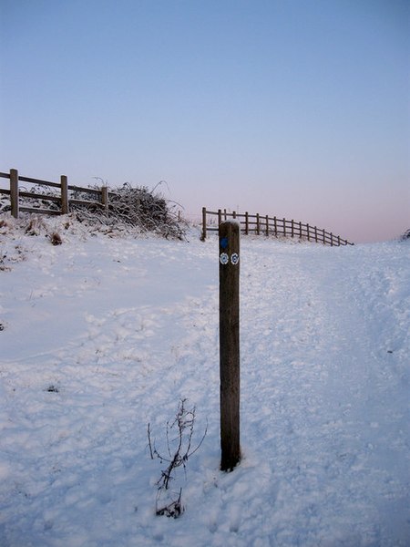 File:Bridleway to Round Hill - geograph.org.uk - 1657017.jpg