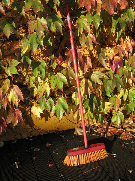 File:Broom in fall.JPG