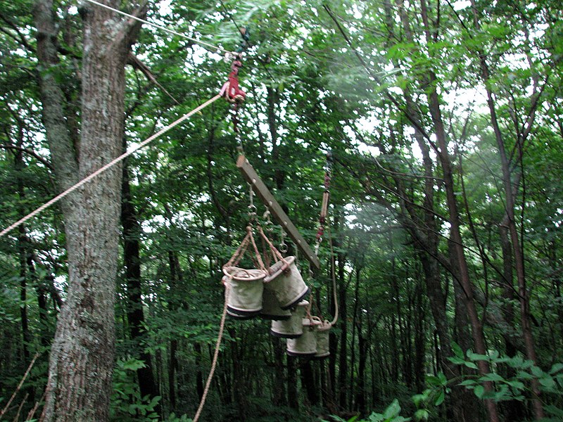 File:Buckets and line at Elk Knob State Park 2.jpg