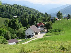 The hamlet of Doline in Bukovski Vrh