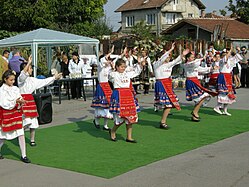 Болгарҙар: Этногенезы, Теле, Этнографик һәм субэтник төркөмдәр