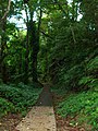 Bulusan Loop way.