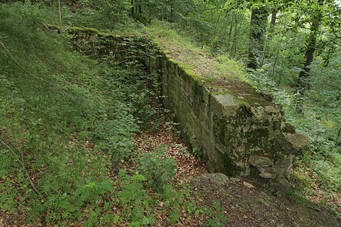 Mauerreste der Burg (Juli 2013)