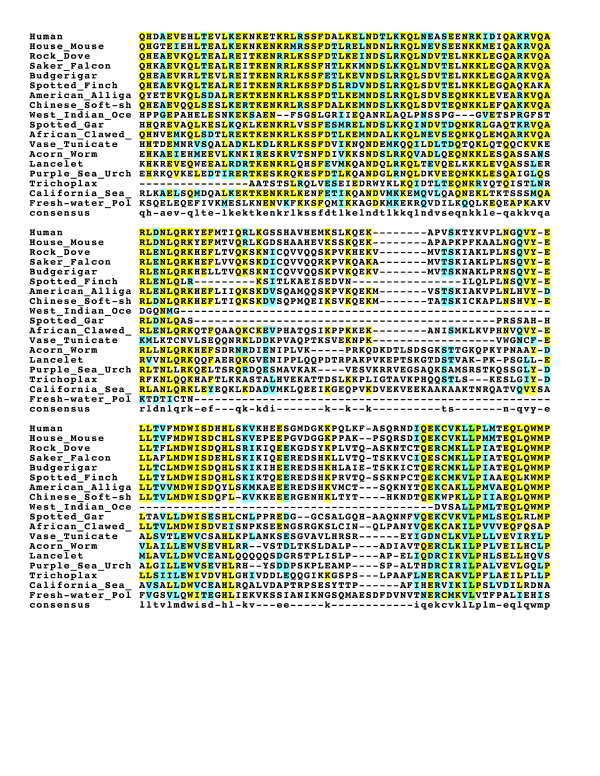 CCDC138 multiple sequence alignment showing conserved regions. CCDC138 multiple sequence alignment BOXSHADE 1.png