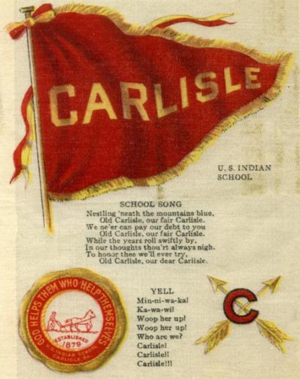 Carlisle Tobacco Cloth.1.png