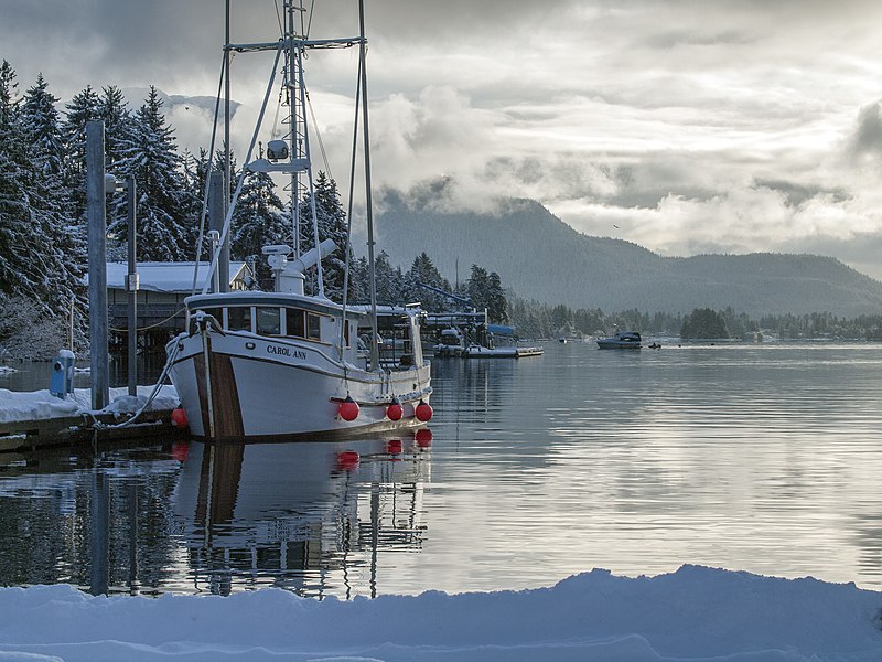 File:Carol Ann Statter Harbor 737.jpg