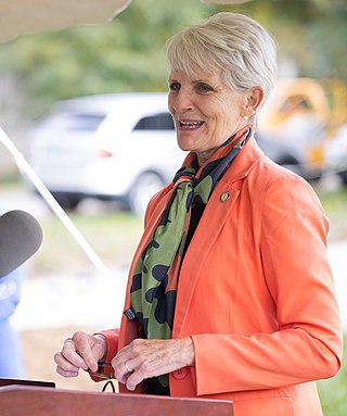 <span class="mw-page-title-main">Carolyn Comitta</span> Pennsylvania state senator (2021-present)