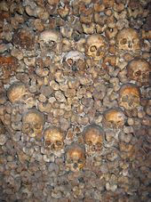 Des crânes dans les catacombes