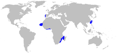 Distribuição geográfica