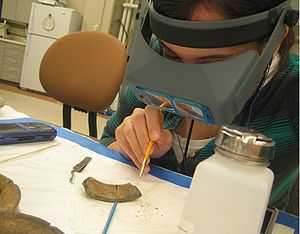 A museum technician applies acetone to a ceramic piece to remove a previous conservation adhesive of Duco glue. This object is from the collection of the Indiana State Museum. Ceramics conservation.jpg